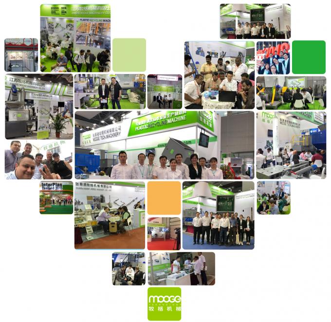 2000 kg/h Línea de reciclaje de lavar botellas de PET Sistema de lavado de escamas Escamas finales Tamaño 12-14 mm 24